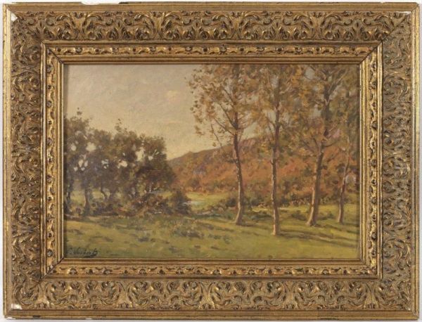 Paysage D'automne - view 1