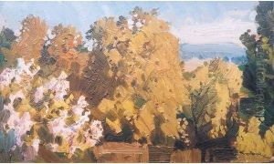 Paysage Boise by Stanislav Iulianov. Joukovski