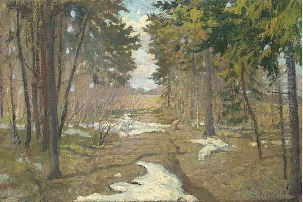 Spring Thaw In The Forest - view 1