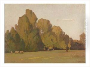 Vaches Au Paturage