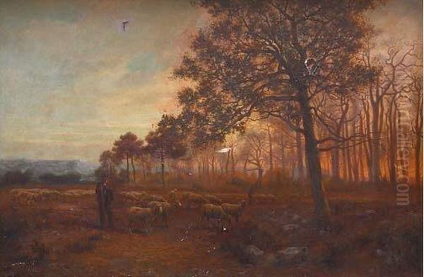 Soleil Couchant Sur La Pinede - view 1