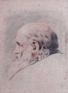 Tete De Vieillard by Jean-baptiste Jouvenet