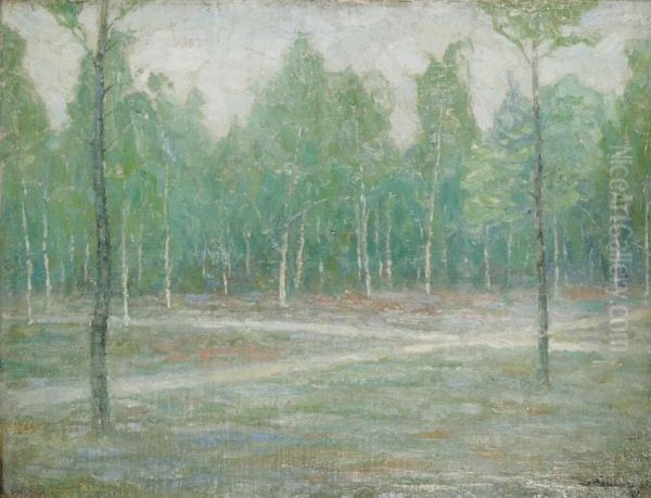 Moorland - view 1