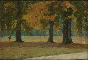 Nachtegaalpark by De Swerts Joz