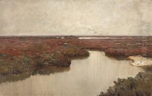 Gray Skies Over A Marshland