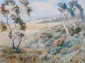 Pacific Coast In Spring by William Lee Judson