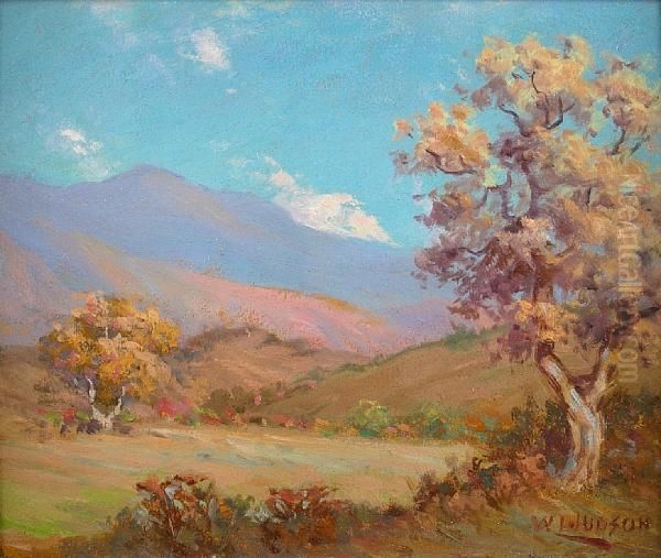 Fall Trees (blue Mountains) - view 1