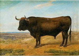 Boticario by Luis Julia Y Carrere