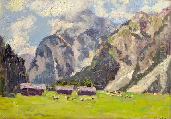 Almwiese - view 1