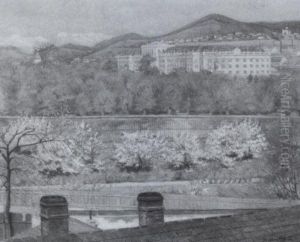 Blick Uber Die Heil- Und Pflege-anstalt Am Steinhof