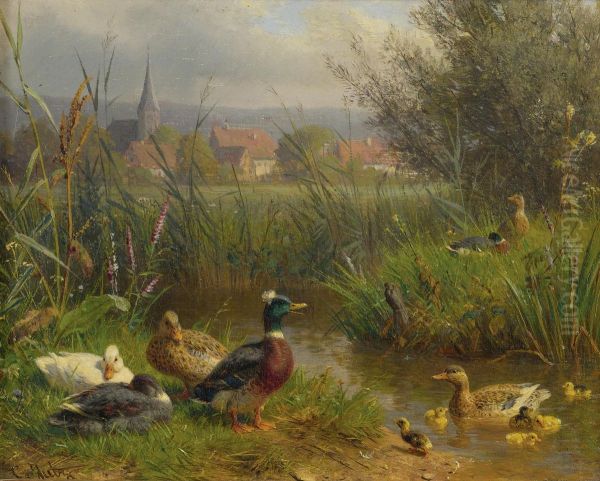 Ducks - view 1