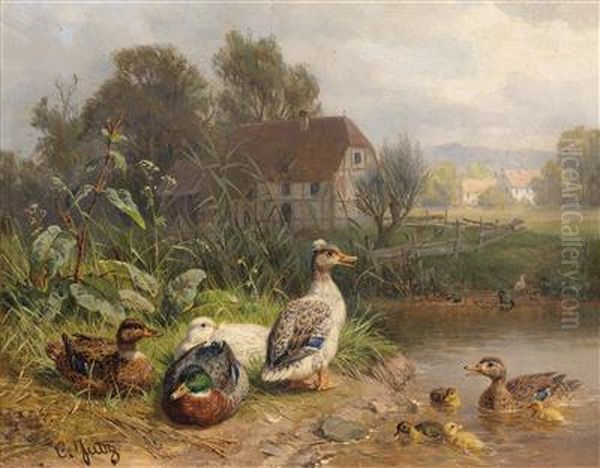 Ducks On The Pond - view 1