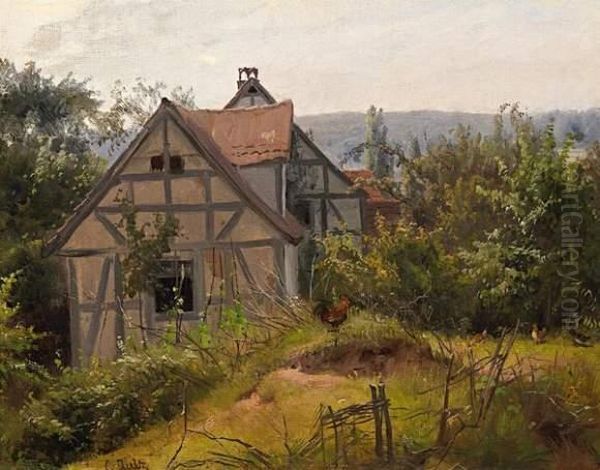 Behind The Farmstead - view 1