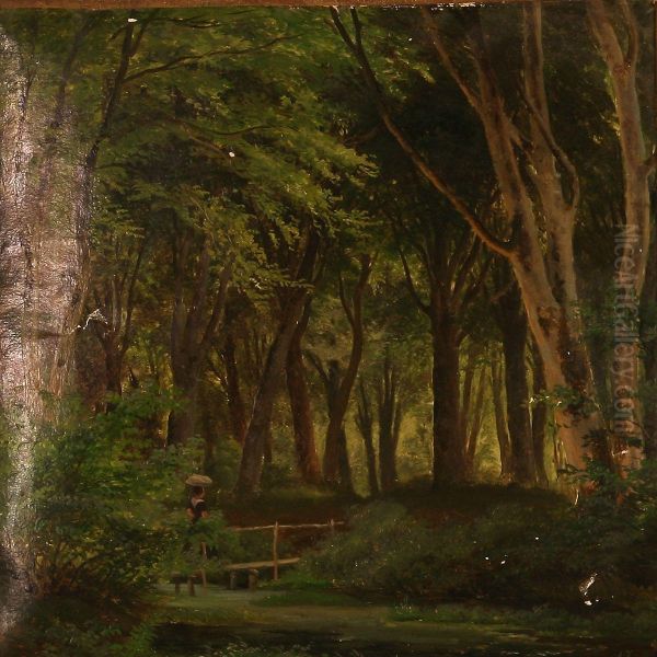 Woman On A Walk In A Forest - view 1
