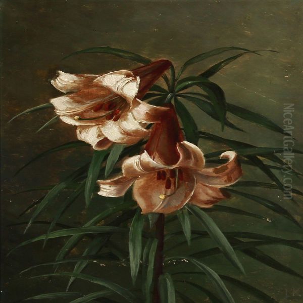 Two Regal Lillies - view 1