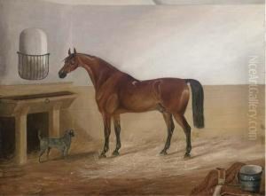 A Bay Hunter And A Canine Companion In A Stable