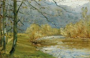 Flusslandschaft