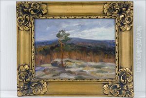 Vaaramaisema - Fjallandskap by Esa Kalervo