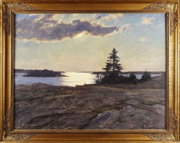 Skargardslandskap - view 1