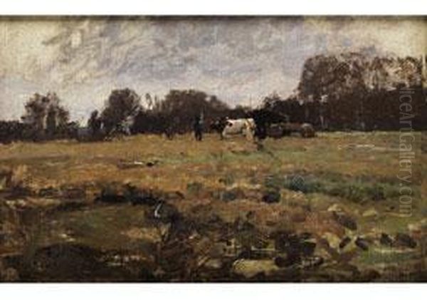 Schleissheimer Moor - view 1