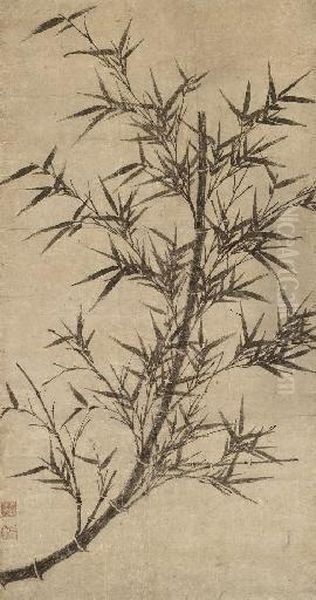 Bamboo - view 1