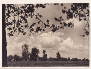 Paysage by Ervin Kankowsky
