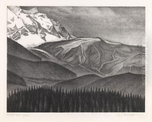 Ehrwalder Kopf - view 1