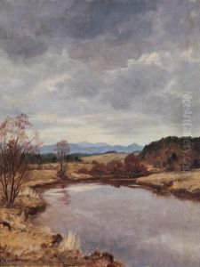 Voralpenlandschaft An Diesigem Tag Mit Kleiner Wasserstelle