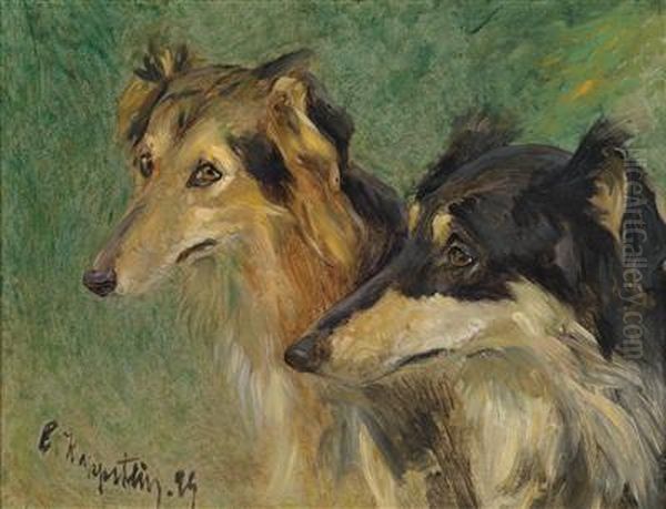 Portrait Of Two Borzoi Dogs - view 1