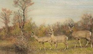 Kleines Rehrudel Auf Einer Lichtung by Carl Friedrich Kappstein