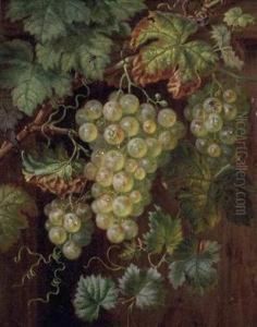 Insekten Auf Uppiger Weinrebe by Amalia Karcher