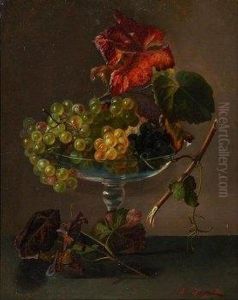 Stilleben Mit Trauben In Einer Glasschale by Amalia Karcher