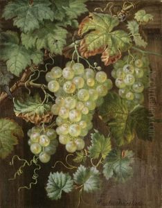 "uppige Weinrebe" Mit Grunen Weintrauben, Wassertropfen by Amalia Karcher
