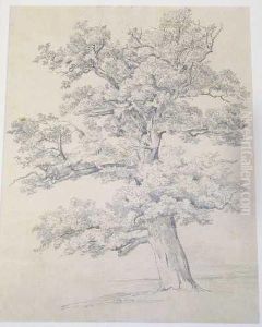 Baume by Karl Graf Von Spreti