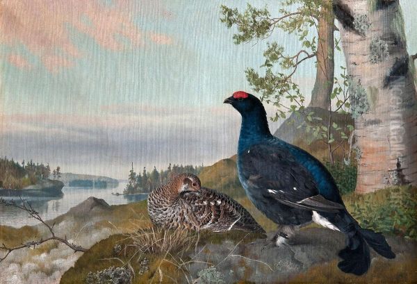 Black Grouse - view 1