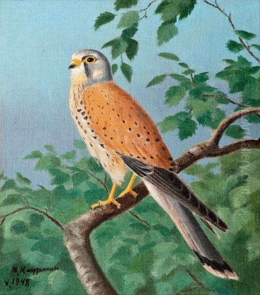 Common Kestrel - view 1