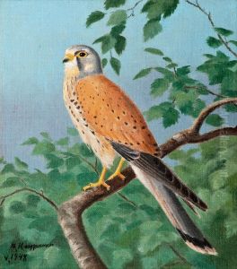 Common Kestrel by Matti Karppanen