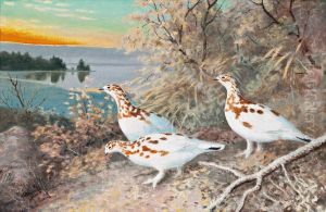 Birds By The Lake by Matti Karppanen
