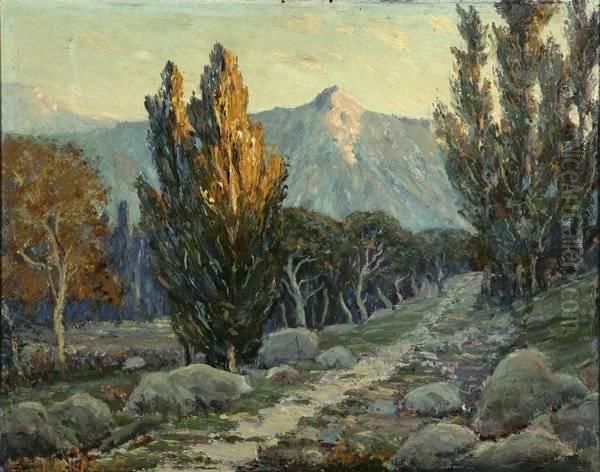Sunlit California Landscape - view 1