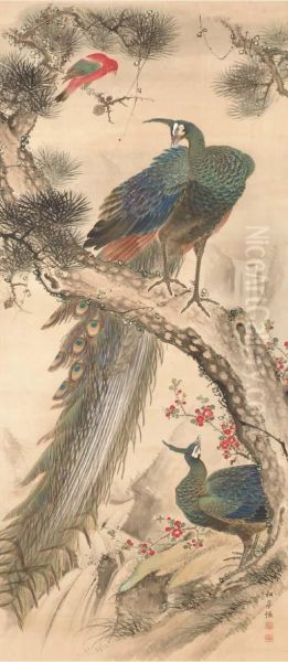 Peacocks And Parrot - view 1