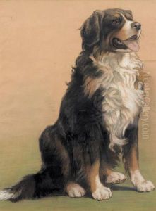 Berner Sennenhund by Burkhard Katzen-Flury