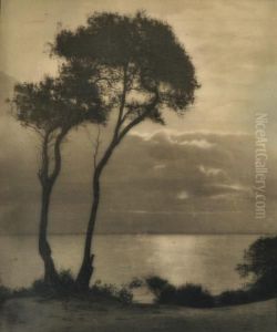 Untitled (trees Onthe 
Coast)