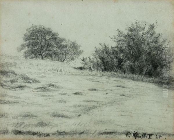 Wiesenlandschaft - view 1