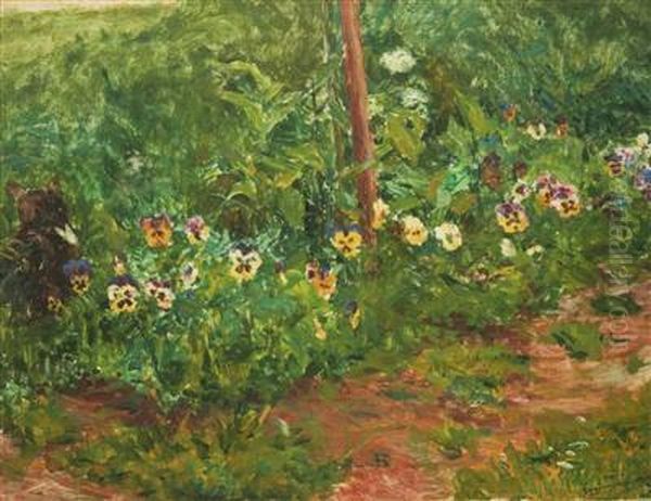 Pansies - view 1