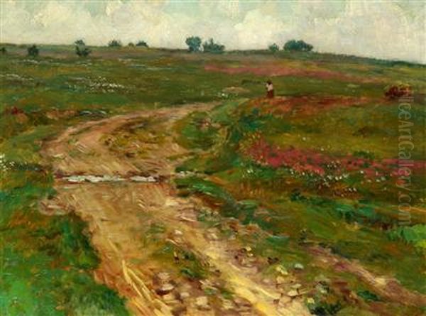 A Road Between Fields - view 1