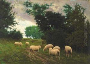 Sheep Pastures, Killeek, County Dublin,1903 by Joseph Malachy Kavanagh