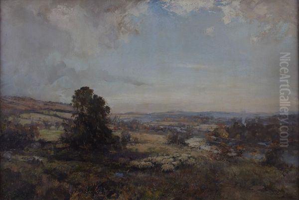 Sheep In Moorland - view 1