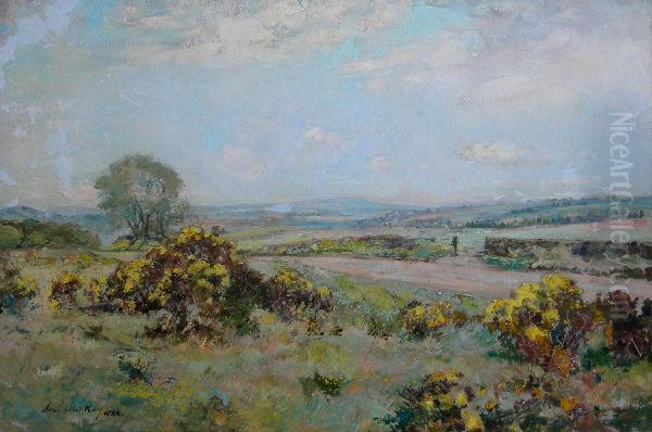 Gorse From Callander To Aberfoyle - view 1