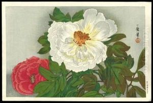 Peonies by Kazumaru