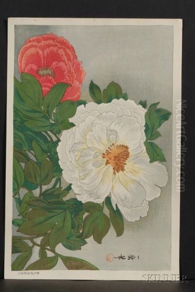 Peonies - view 1